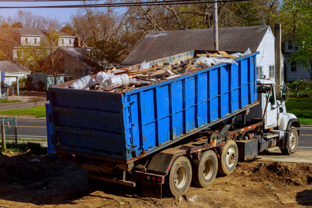 Yard Cleanup Services in Minneota, MN